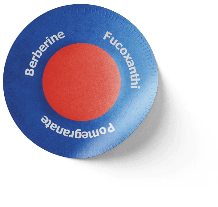 berberine-patch