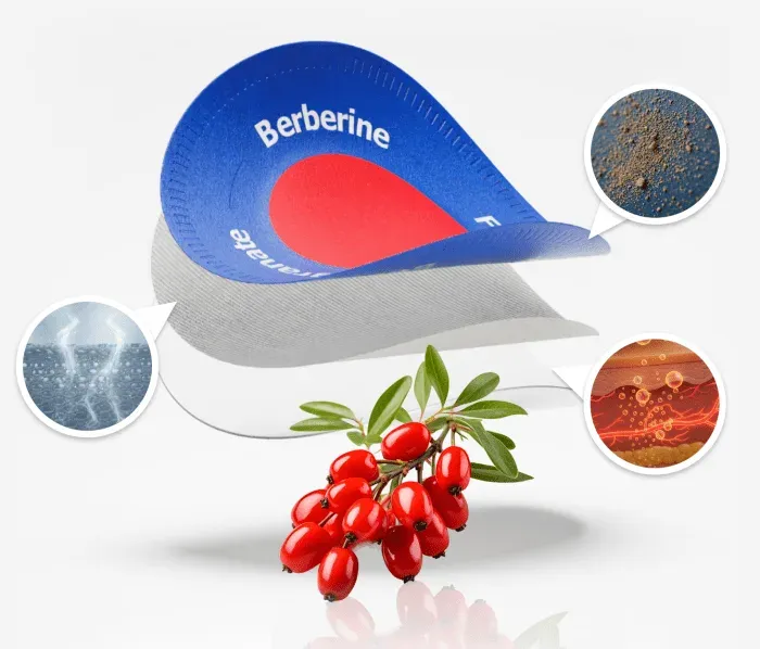 Berberine patch